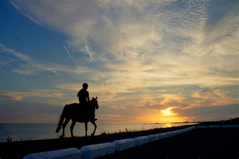 Download Silhouette Sunset Horse Photography Horse Riding 4k Ultra HD Wallpaper