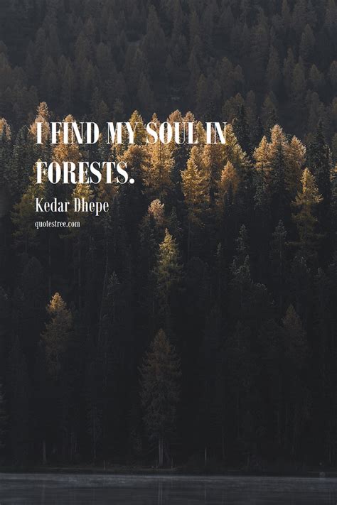 31+ Quotes About Forest, Trees and Nature