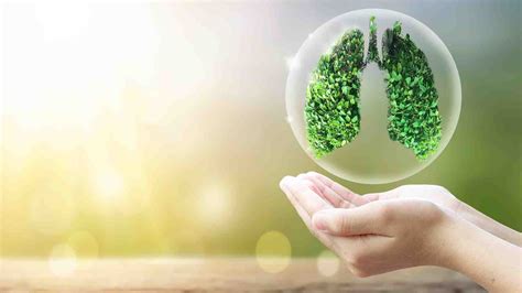 Earth Day 2023: Tips to improve lung health and fight pollution - Top Business View