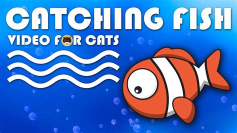 CAT GAMES ON SCREEN - Catching a Cute Fish. Entertainment Video for Cats to Watch. - YouTube