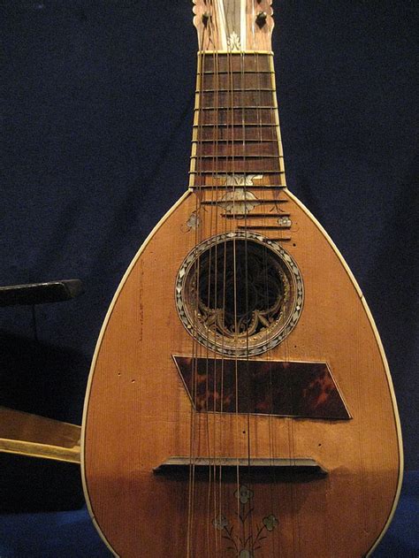 Mandola vs. Mandolin: What's the Difference? - Main Difference