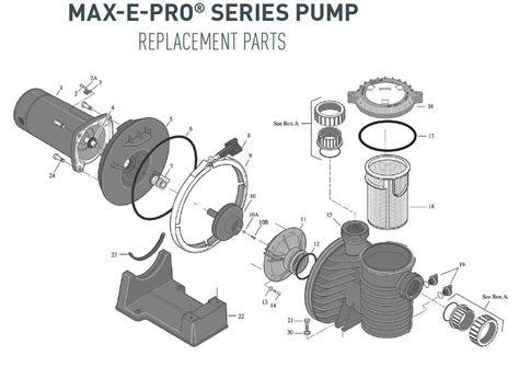 Sta-rite Pump Parts Diagram