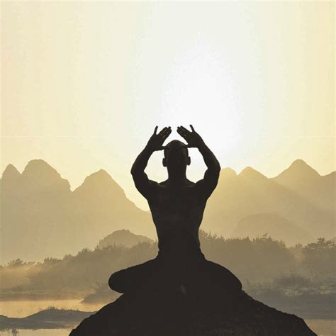 Crane Medicine: A Brief Introduction to Qi Gong Meditation