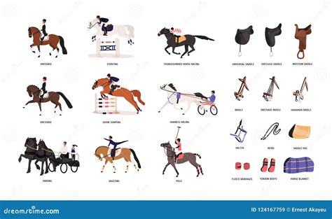 Equestrianism Stock Illustrations – 128 Equestrianism Stock ...