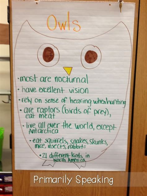 Whoooo Loves Owls? | Primarily Speaking