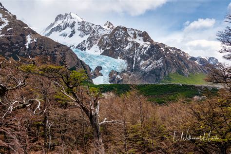 Nature by Nat Photography - End of the Earth: Patagonia