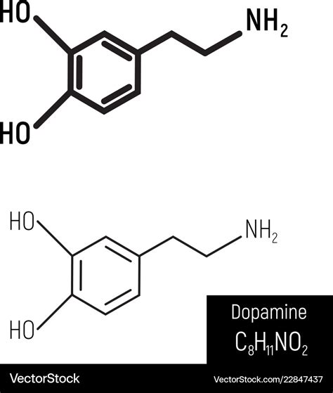 Dopamine molecule structure design Royalty Free Vector Image