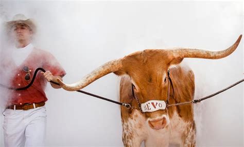 Texas Longhorns beloved mascot Bevo: See photos through the years