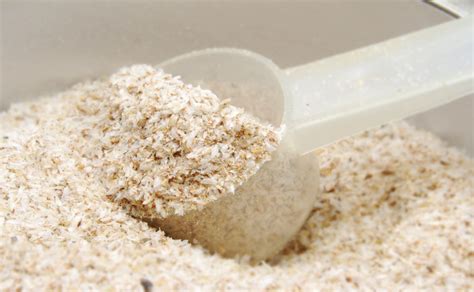 Psyllium Husk Capsules Benefits