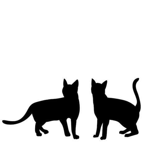 Premium Vector | White background black silhouette two cats