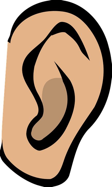 Ear Listen Hear · Free vector graphic on Pixabay