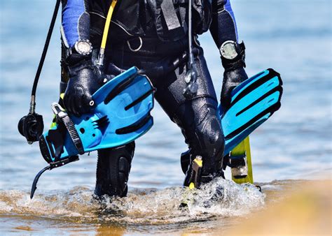 Choosing the Best Dive Fins • Scuba Diver Life