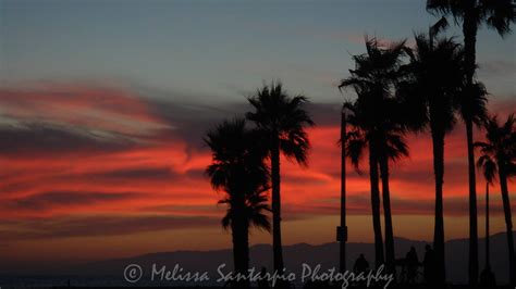 Venice Beach Sunset | Beach sunset, Venice beach, Sunset