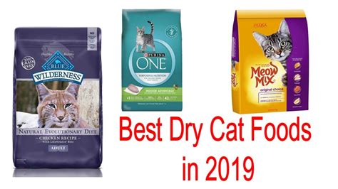 Best Dry Cat Food 2019