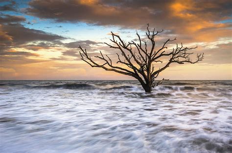 Botany Bay Edisto Island SC Boneyard Beach Sunset Photograph by Dave Allen - Fine Art America