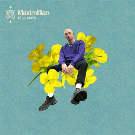 Maximillian - Beautiful Scars