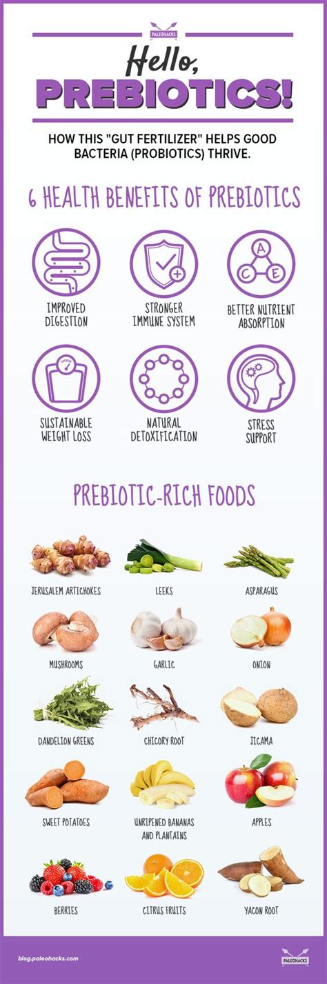 Prebiotics: 6 Benefits of This 'Gut Fertilizer' and Natural Sources | Lectin | Pinterest | Gut ...