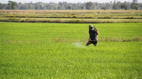 How Cambodia can revive agriculture with big data - The Cambodia Daily