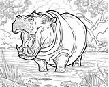 Girl Hippo Coloring Page sketch template