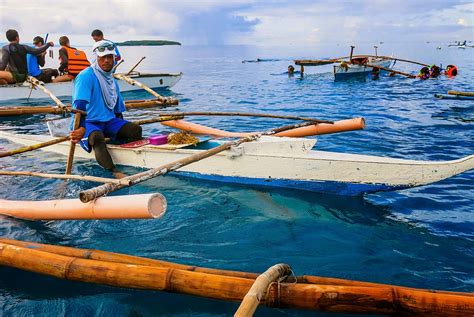 Exploring Cebu: Oslob Whale Shark Watching! | Miked's Travel PH