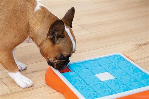 10 Dog Puzzle Toys That Pups Love