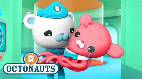 Octonauts - Close Encounters | Ocean Adventures | Cartoons for Kids ...