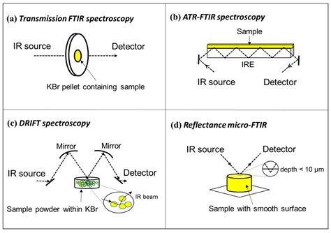 IJMS | Free Full-Text | Applications of Micro-Fourier Transform ...