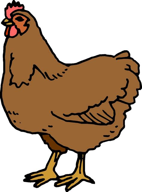 Chicken Cartoon Images - ClipArt Best