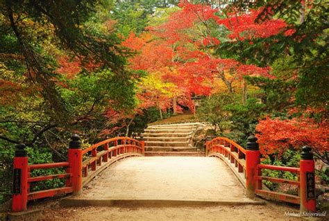 Autumn scenery, Japan, Visit japan