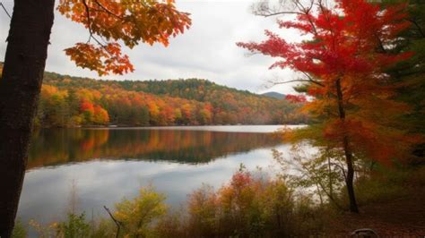 Premium AI Image | A lake with fall colors in the background