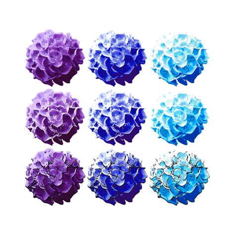 Free Purple Hydrangea Cliparts, Download Free Purple Hydrangea Cliparts png images, Free ...