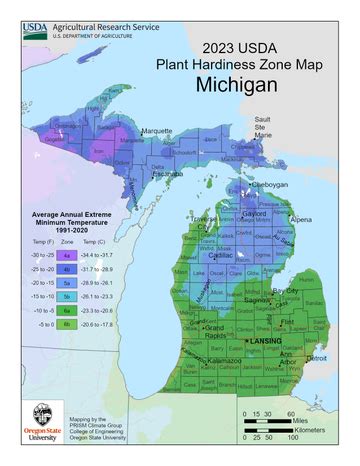 Michigan Growing Zone Map For Plant Hardiness | Gardening Know How