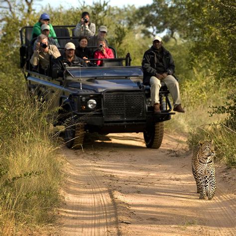 Sabi Sands Game Reserve - The ultimate luxury safari South Africa