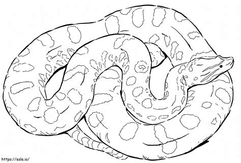 A Green Anaconda coloring page