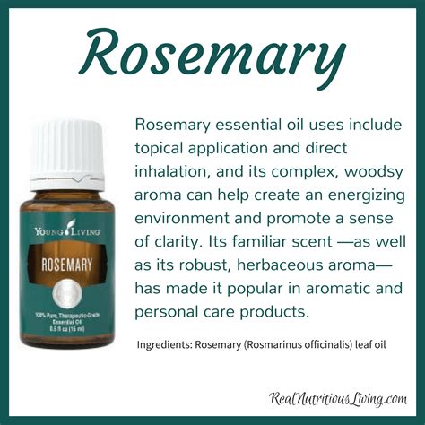 Rosemary Essential Oil | Real Nutritious Living