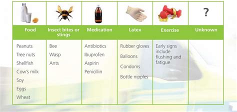 Common triggers of anaphylaxis – First Aid for Free