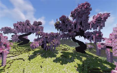 Cherry Tree pack Minecraft Map