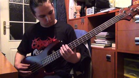 Tool - Reflection (bass cover) - YouTube