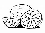 Drawing Grapefruit Coloring Page  Free Printable Pages sketch template