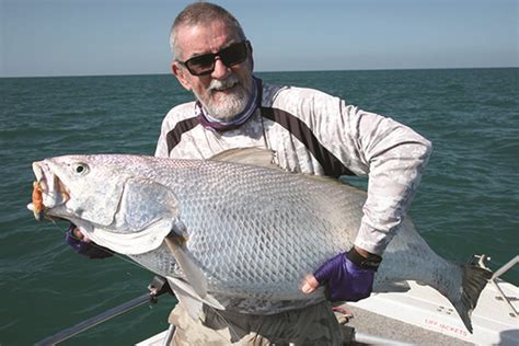 New Queensland study to shed light on black jewfish population - BNB Mag