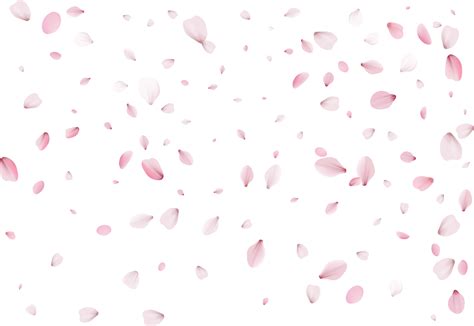 Flying flower petals. 11236087 PNG