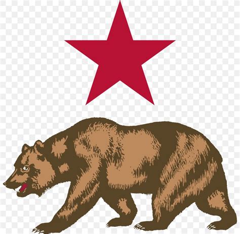 California Grizzly Bear California Republic Flag Of California, PNG, 800x800px, California, Bear ...