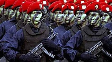 Indonesian Army Special Forces "Kopassus" members on parade. Special Forces, Warfare, Tactical ...