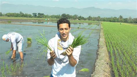 Foreigners Planting Rice In The Philippines (Ep. 7) - YouTube