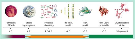 Timeline, expressed in units of billions of years, of Early life... | Download Scientific Diagram
