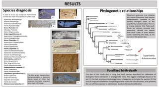 The importance of Paleocene fossil fishes from Southeastern Mexico to understand the origin and ...