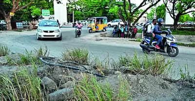 Lip Balm: Road To Tidel Park To Get 1.5cr Facelift | Coimbatore News ...