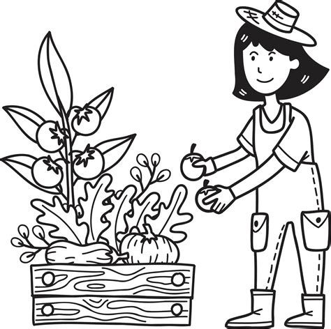 Hand Drawn female farmer picking fruits and vegetables illustration ...