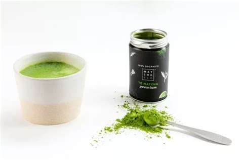 Benefits Of Matcha Tea: A Detailed Guide - FIT Orbit