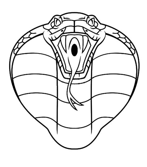 King Cobra Head Coloring Pages : Kids Play Color | Snake drawing, King cobra, Snake sketch